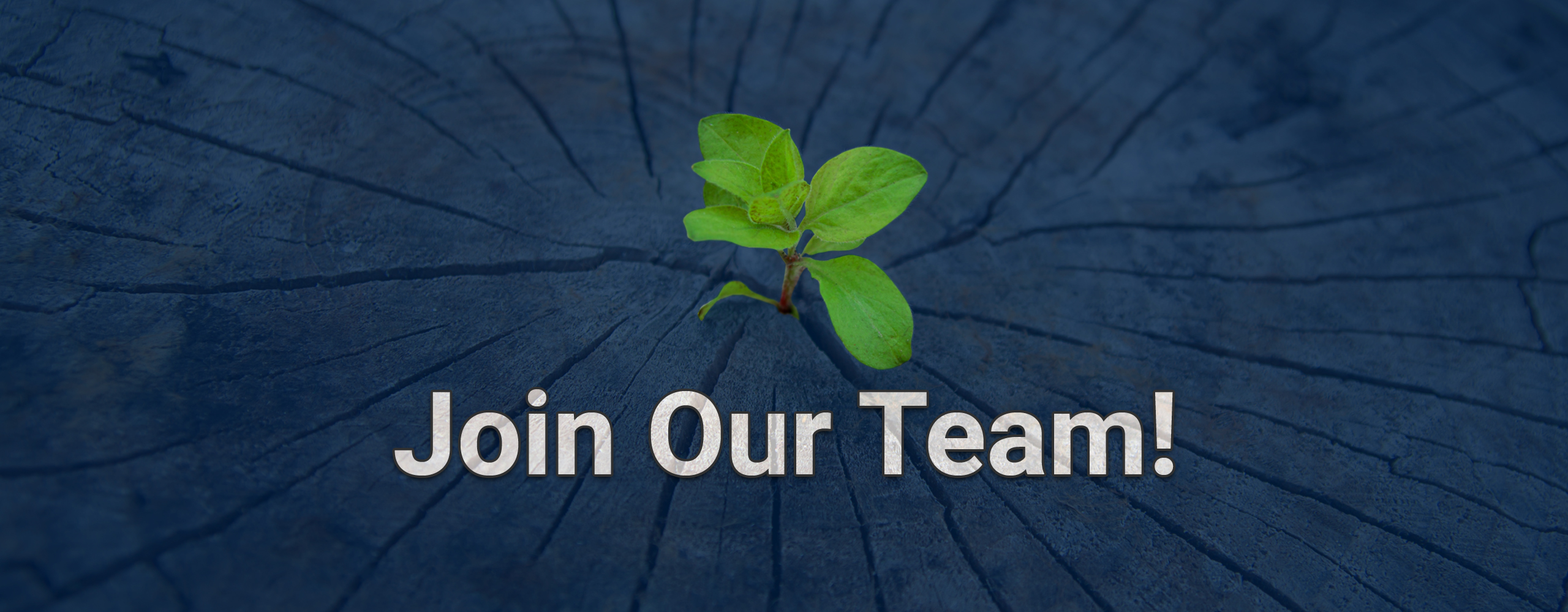 Jointeam